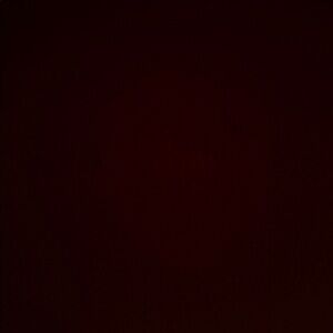 Meet your Posher, Sandy